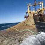 el-pedido-de-la-industria-pesquera-ante-el-aumento-del-gasoil:-“le-reclamamos-al-estado-que-nos-ayude-a-ser-competitivos”