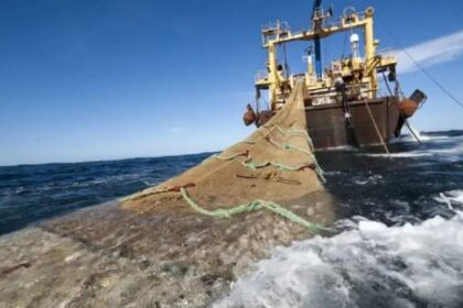 el-pedido-de-la-industria-pesquera-ante-el-aumento-del-gasoil:-“le-reclamamos-al-estado-que-nos-ayude-a-ser-competitivos”