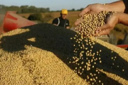 agro:-“tenemos-una-especie-de-atraso-en-el-sentido-de-generar-proyectos-de-inversion-articulados”