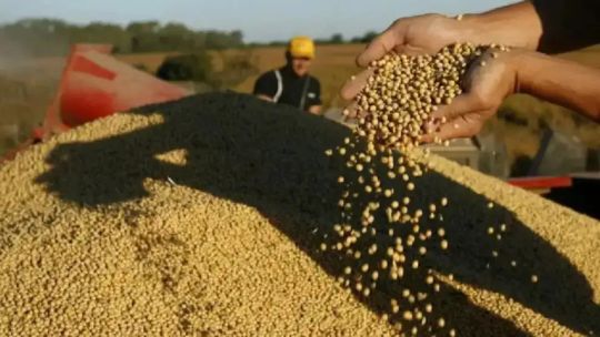 agro:-“tenemos-una-especie-de-atraso-en-el-sentido-de-generar-proyectos-de-inversion-articulados”