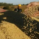pablo-adreani-sobre-las-retenciones-al-agro:-“son-confiscatorias,-discriminatorias-y-distorsionan-la-competitividad”