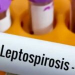 cordoba:-un-hombre-murio-por-leptospirosis-en-bell-ville