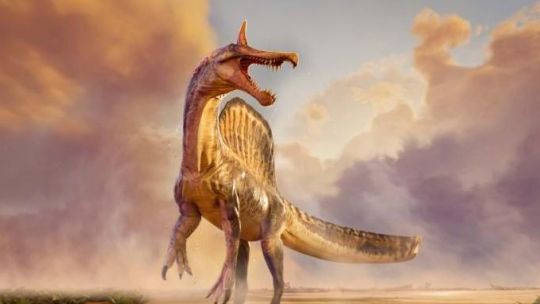 descubren-una-nueva-especie-de-spinosaurus-en-el-sahara:-como-era-y-por-que-cambia-lo-que-se-sabia