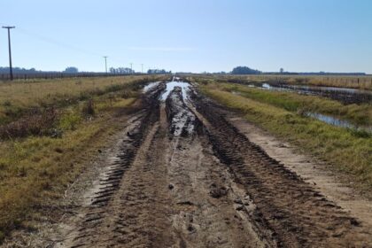 otro-fallo-a-favor-de-los-productores:-la-justicia-obligo-a-un-municipio-bonaerense-a-mostrar-sus-numeros-y-como-se-gasto-la-recaudacion-de-la-tasa-vial