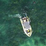 lanzan-una-campana-para-nombrar-y-proteger-a-los-bosques-marinos