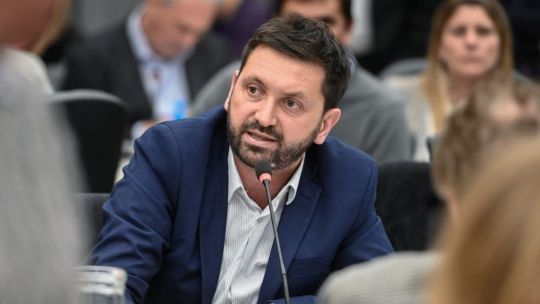 pablo-juliano:-“el-ano-pasado-nos-volviamos-locos-por-ficha-limpia-y-ahora-fingen-demencia”