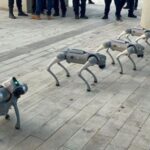 “perros”-robot-y-drones:-el-nuevo-modelo-de-vigilancia-de-optima-seguridad