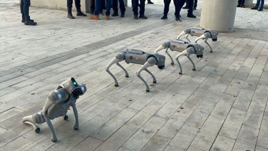 “perros”-robot-y-drones:-el-nuevo-modelo-de-vigilancia-de-optima-seguridad