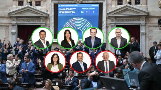 ley-de-glaciares:-como-votaron-los-diputados-de-chaco