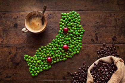 eldorado-sera-sede-de-una-jornada-tecnica-para-analizar-el-cafe-como-alternativa-productiva