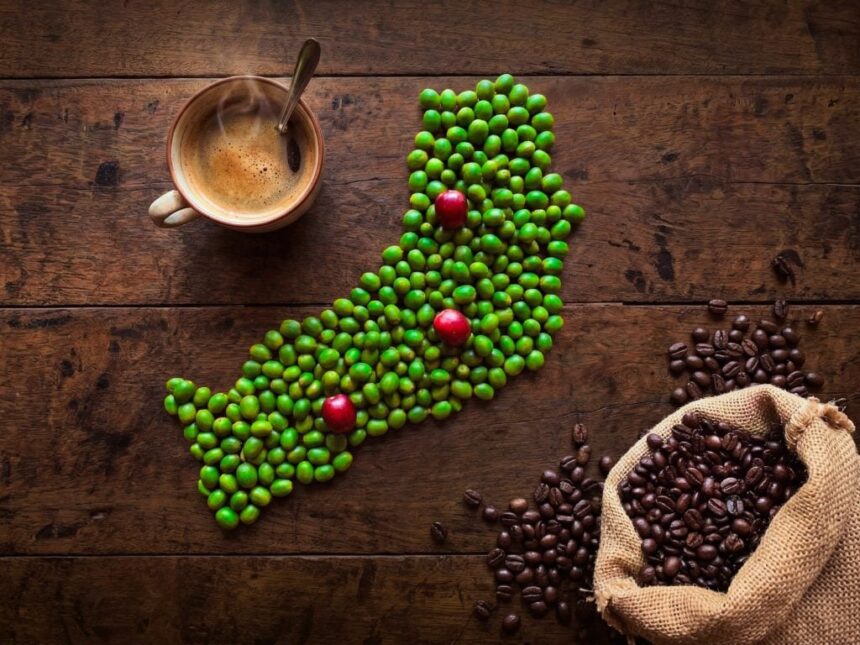 eldorado-sera-sede-de-una-jornada-tecnica-para-analizar-el-cafe-como-alternativa-productiva