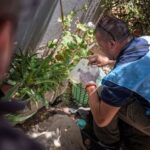 cordoba:-el-ministerio-de-salud-notifico-otros-tres-casos-de-chikungunya-en-el-interior-provincial