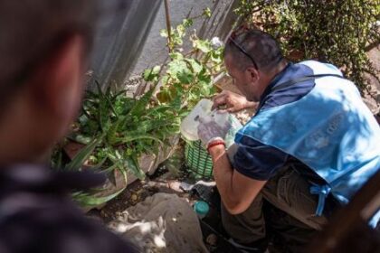 cordoba:-el-ministerio-de-salud-notifico-otros-tres-casos-de-chikungunya-en-el-interior-provincial