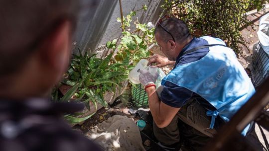 cordoba:-el-ministerio-de-salud-notifico-otros-tres-casos-de-chikungunya-en-el-interior-provincial