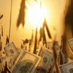 desde-el-sector-agroexportador-afirmaron-que,-“es-tal-vez-la-mayor-cosecha-de-la-historia-de-argentina”