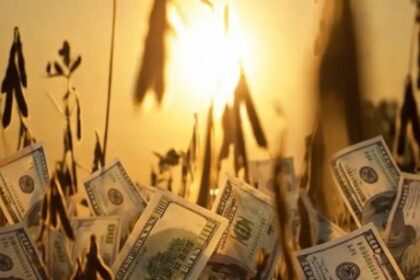 desde-el-sector-agroexportador-afirmaron-que,-“es-tal-vez-la-mayor-cosecha-de-la-historia-de-argentina”