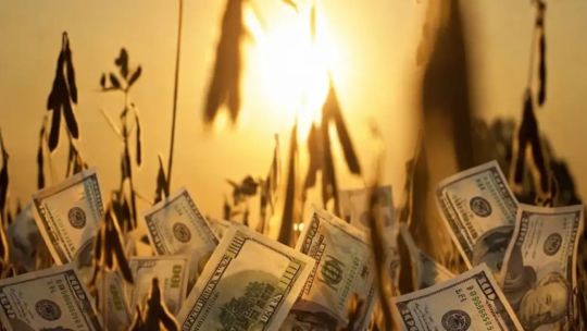 desde-el-sector-agroexportador-afirmaron-que,-“es-tal-vez-la-mayor-cosecha-de-la-historia-de-argentina”