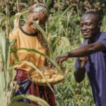 la-guerra-de-estados-unidos-aumenta-la-carga-de-la-deuda-de-africa