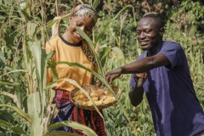 la-guerra-de-estados-unidos-aumenta-la-carga-de-la-deuda-de-africa