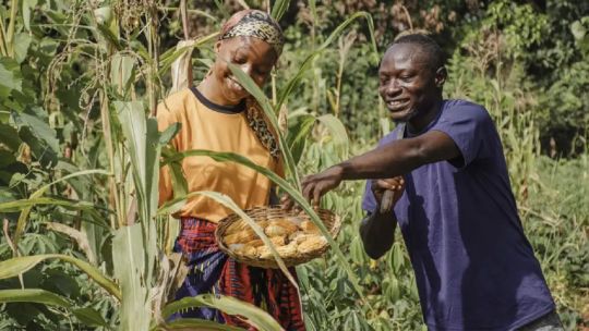 la-guerra-de-estados-unidos-aumenta-la-carga-de-la-deuda-de-africa