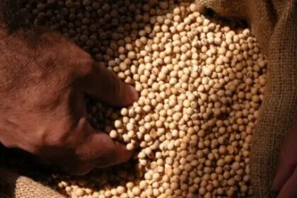 continua-la-exigencia-del-agro-sobre-la-ley-de-semillas:-“tenemos-un-marco-normativo-totalmente-desactualizado”