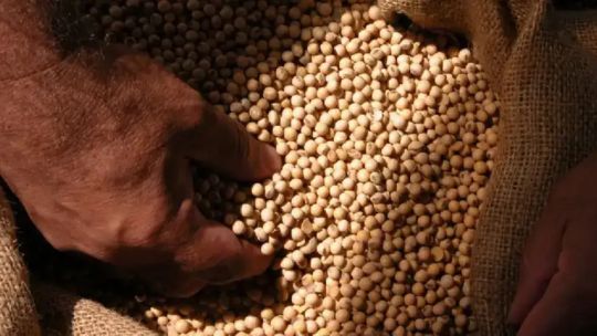 continua-la-exigencia-del-agro-sobre-la-ley-de-semillas:-“tenemos-un-marco-normativo-totalmente-desactualizado”