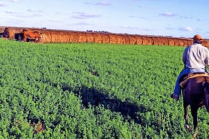la-confianza-del-campo-esta-en-su-nivel-mas-alto