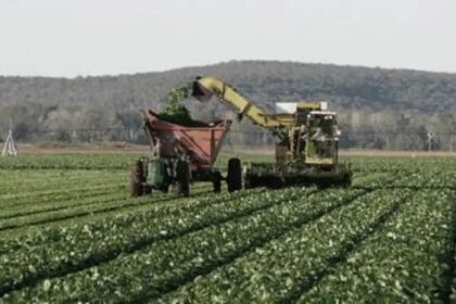 el-aumento-de-la-longevidad-y-las-alternativas-de-inversion:-como-impacta-en-el-agro
