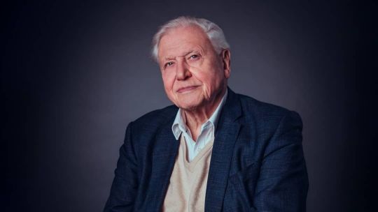 david-attenborough-a-los-100-anos:-no-le-tiene-miedo-a-la-muerte,-sino-a-no-haber-vivido-lo-suficiente