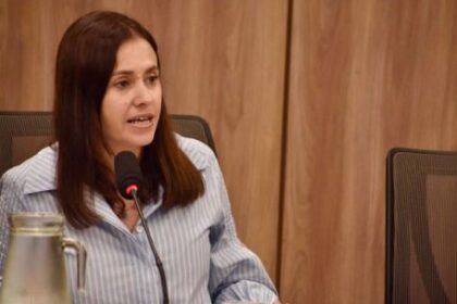 basualdo-asumio-en-diputados-y-propuso-llevar-la-comision-al-interior-del-pais