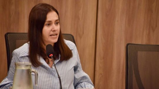 basualdo-asumio-en-diputados-y-propuso-llevar-la-comision-al-interior-del-pais