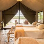 glamping-en-buenos-aires:-5-lugares-para-dormir-bajo-las-estrellas-con-maximo-confort