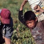 trabajo-infantil:-una-realidad-sin-estadisticas-y-con-senales-de-expansion