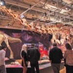 el-dinosaurio-patagonico-que-ensena-management-en-la-universidad