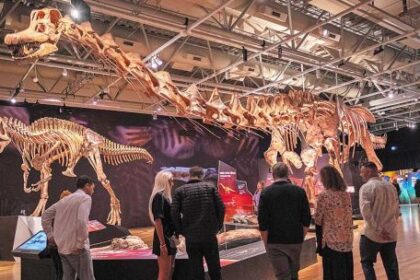 el-dinosaurio-patagonico-que-ensena-management-en-la-universidad