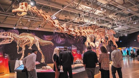el-dinosaurio-patagonico-que-ensena-management-en-la-universidad