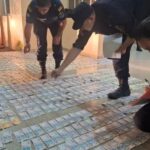persecucion-y-drones-en-corrientes:-caen-tres-delincuentes-por-un-millonario-robo-a-una-veterinaria