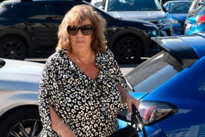 muerte-de-nisman:-viviana-fein-dijo-que-el-fiscal-taiano-la-tomo-de-“chivo-expiatorio”