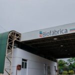 impacto-en-las-provincias:-misiones-disolvio-misiopharma-y-la-integro-a-biofabrica-“para-optimizar-recursos-publicos”