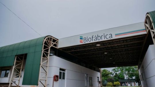 impacto-en-las-provincias:-misiones-disolvio-misiopharma-y-la-integro-a-biofabrica-“para-optimizar-recursos-publicos”