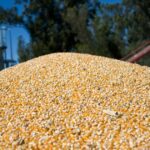 por-la-mayor-cosecha-se-esperan-mas-de-us$-35.000-millones-del-campo
