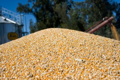 por-la-mayor-cosecha-se-esperan-mas-de-us$-35.000-millones-del-campo