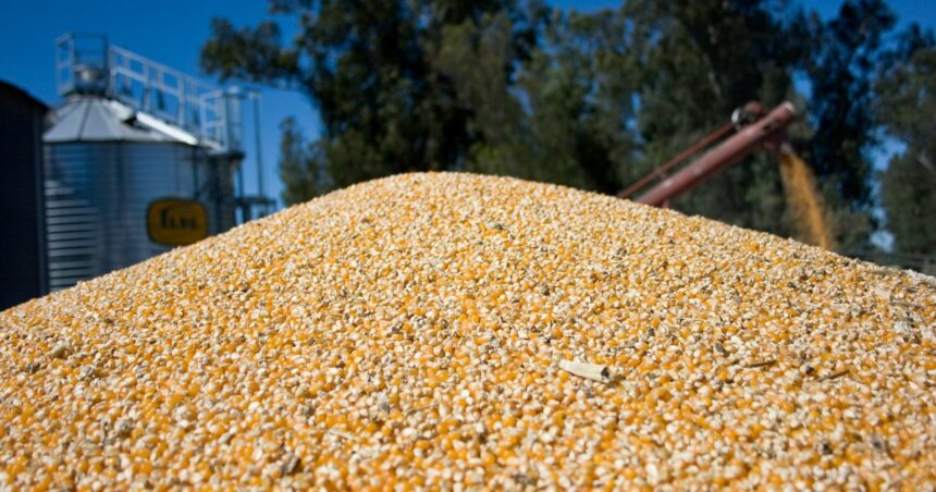 por-la-mayor-cosecha-se-esperan-mas-de-us$-35.000-millones-del-campo