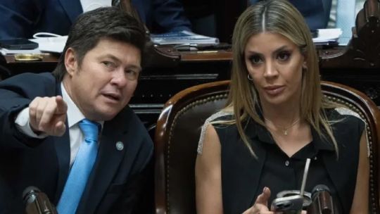 la-libertad-avanza-regularizo-su-situacion-ante-la-justicia-tras-la-multa-por-los-gastos-de-campana
