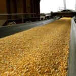 cuales-son-las-claves-que-deben-adoptar-los-productores-frente-a-mayores-costos-de-la-campana-agricola