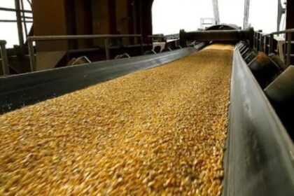 cuales-son-las-claves-que-deben-adoptar-los-productores-frente-a-mayores-costos-de-la-campana-agricola