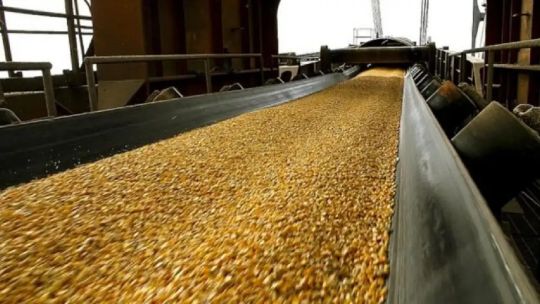cuales-son-las-claves-que-deben-adoptar-los-productores-frente-a-mayores-costos-de-la-campana-agricola