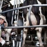 empresarios:-crece-la-preocupacion-por-el-consumo-y-el-poder-adquisitivo
