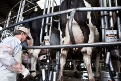 empresarios:-crece-la-preocupacion-por-el-consumo-y-el-poder-adquisitivo