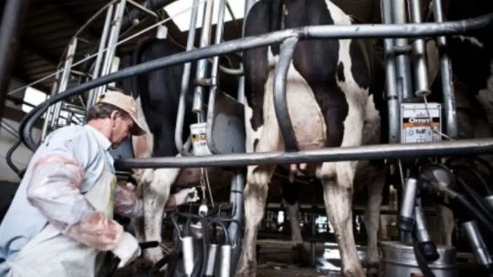 empresarios:-crece-la-preocupacion-por-el-consumo-y-el-poder-adquisitivo